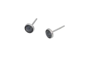 Graphite Grey Silver Crystal Pure Titanium Stud Earrings