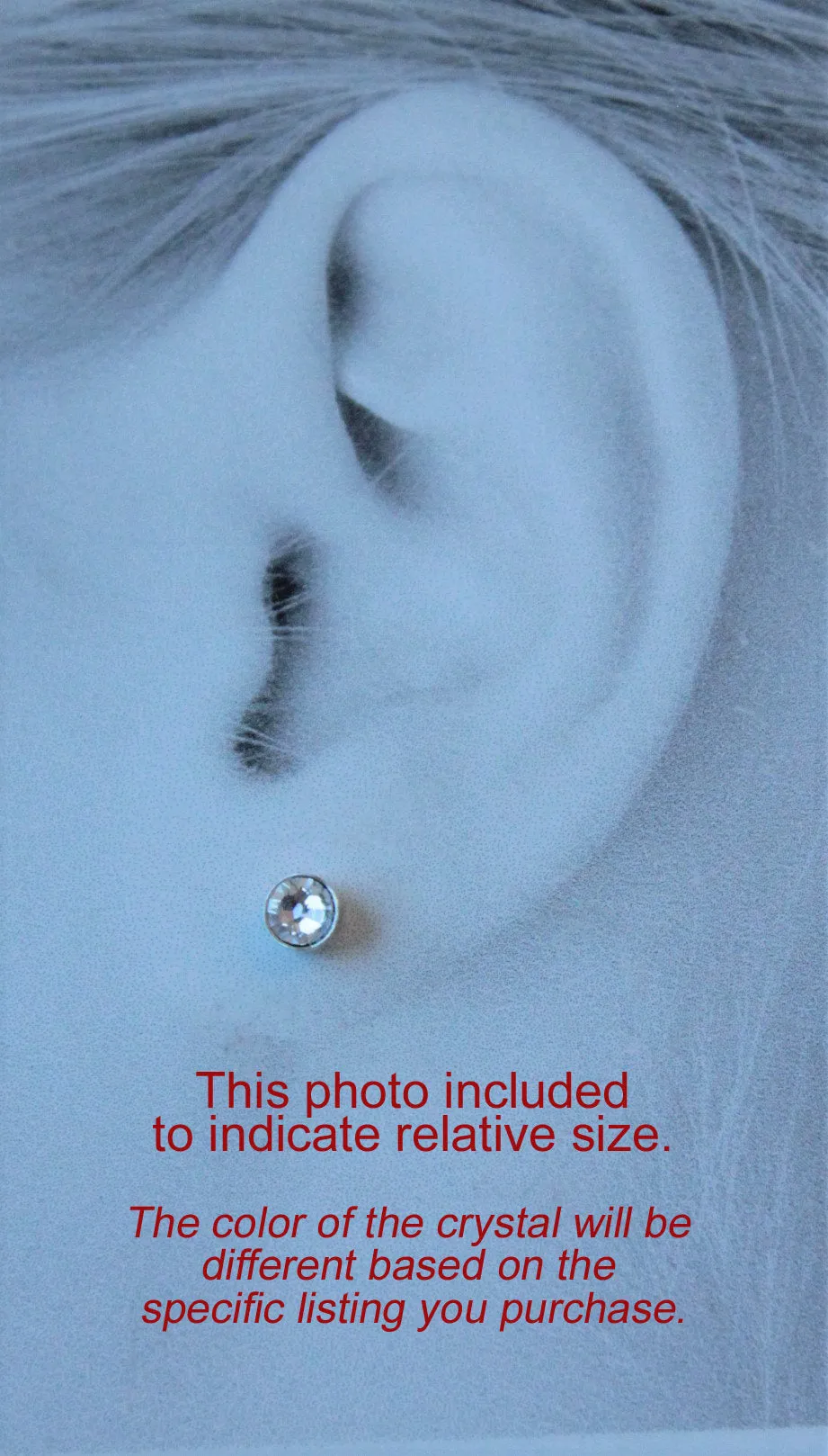 Graphite Grey Silver Crystal Pure Titanium Stud Earrings